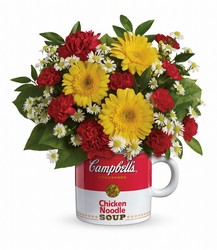 Campbell's Healthy Wishes by Teleflora from Schultz Florists, flower delivery in Chicago